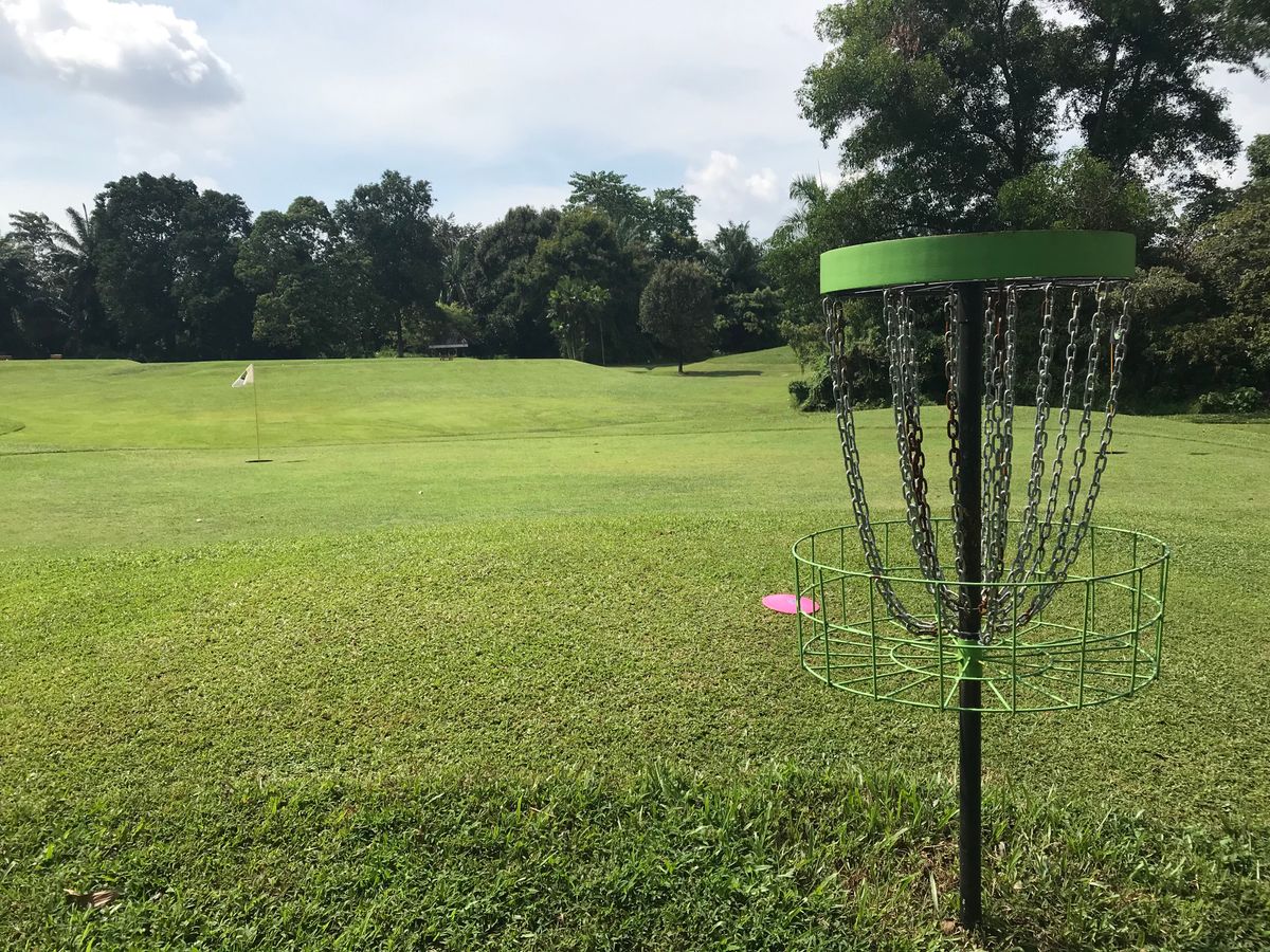 Basket for hole 10. Same as basket for 1.