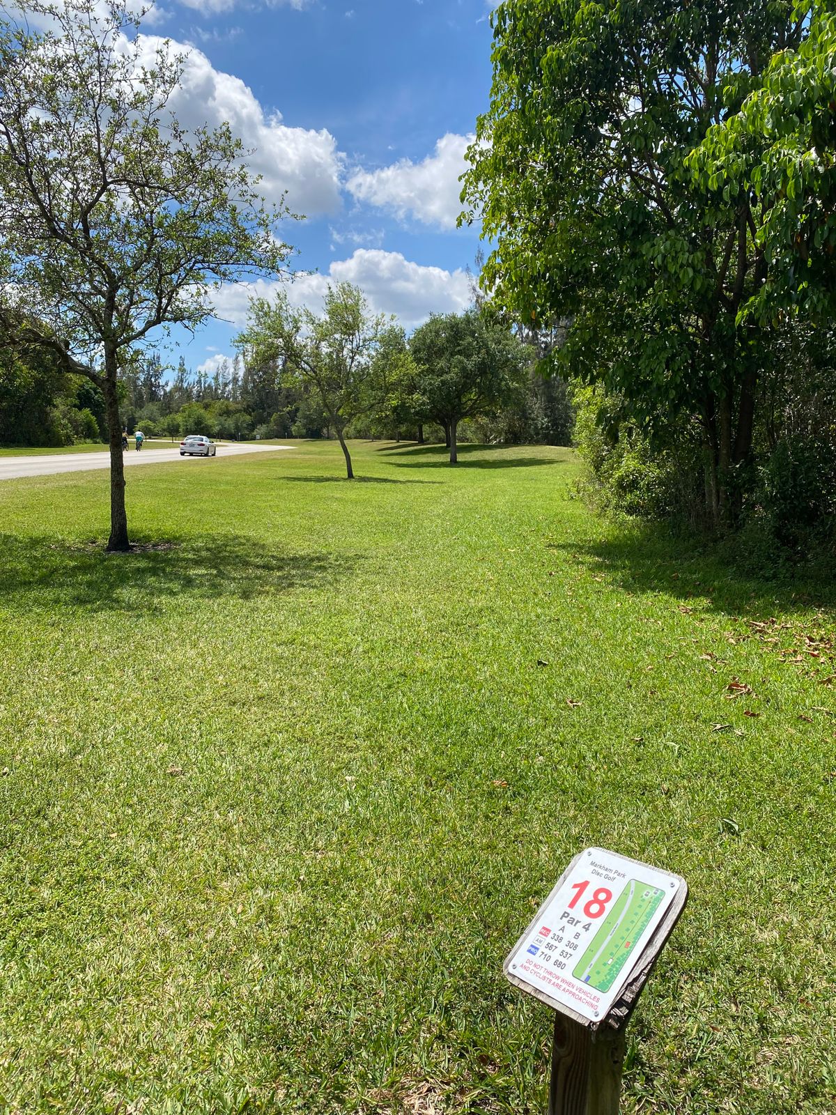 Hole 18 fairway view at tee pad. Basket is all the way down and left center in between trees