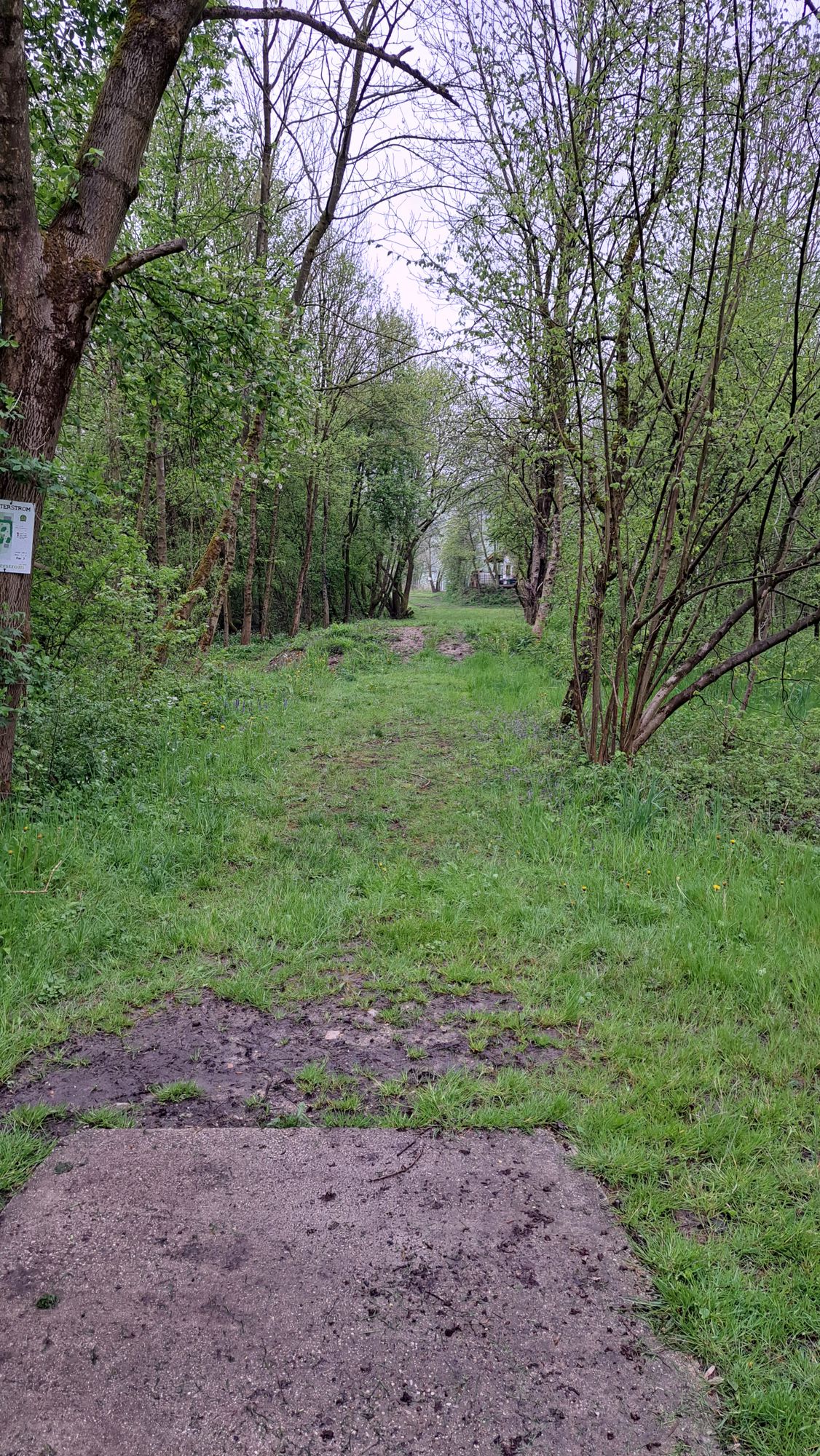 Hole 5 Tee