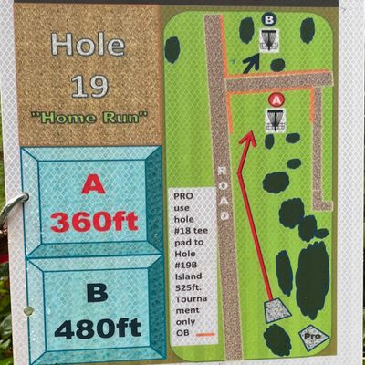 Hole #19