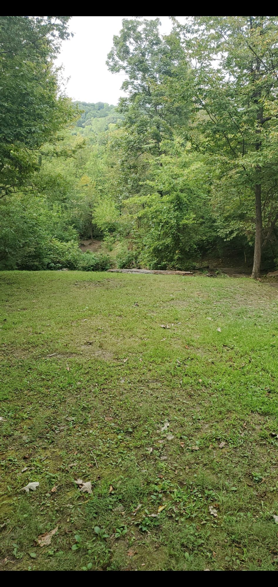 Hole 9 looking down to tee box