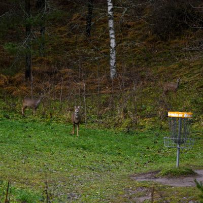 Course photo
