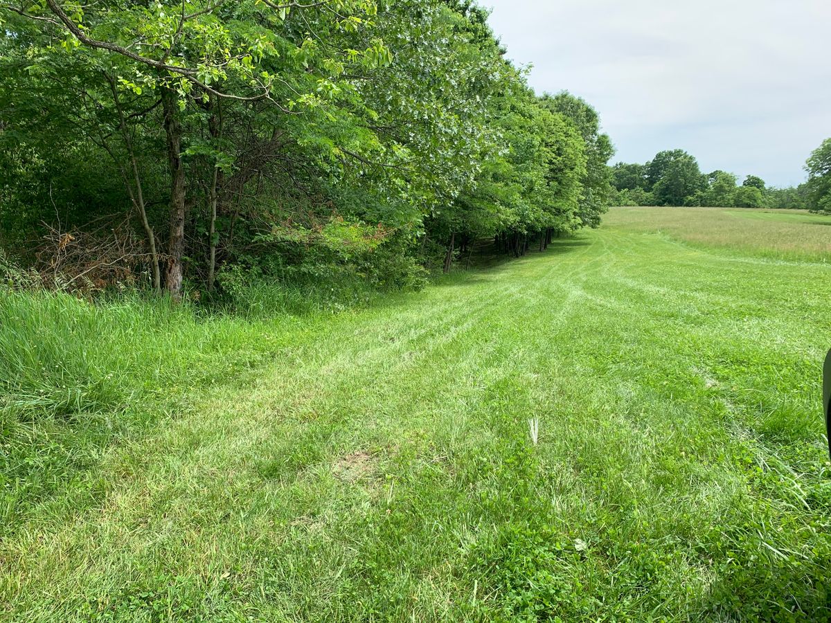 Hole 1  
Straight into the tunnel or wide hyzer skip. Careful of the hill left of basket.
