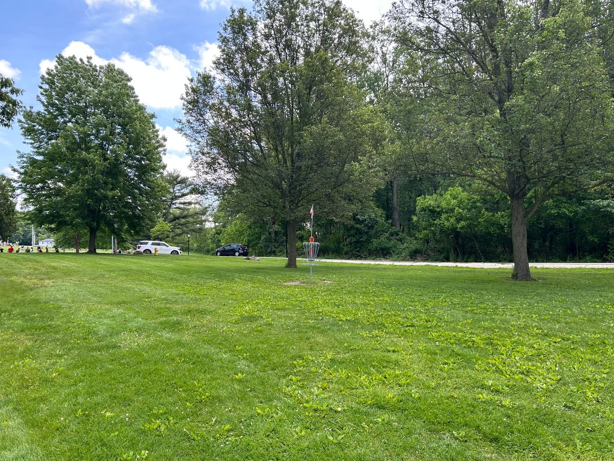Hole 11 basket