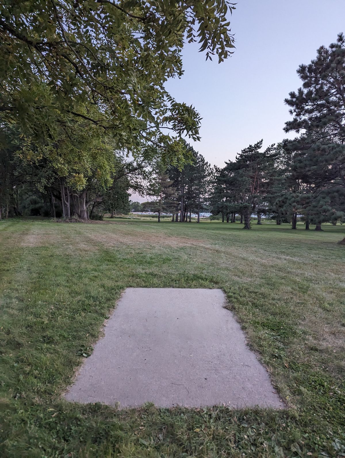 Tee 6