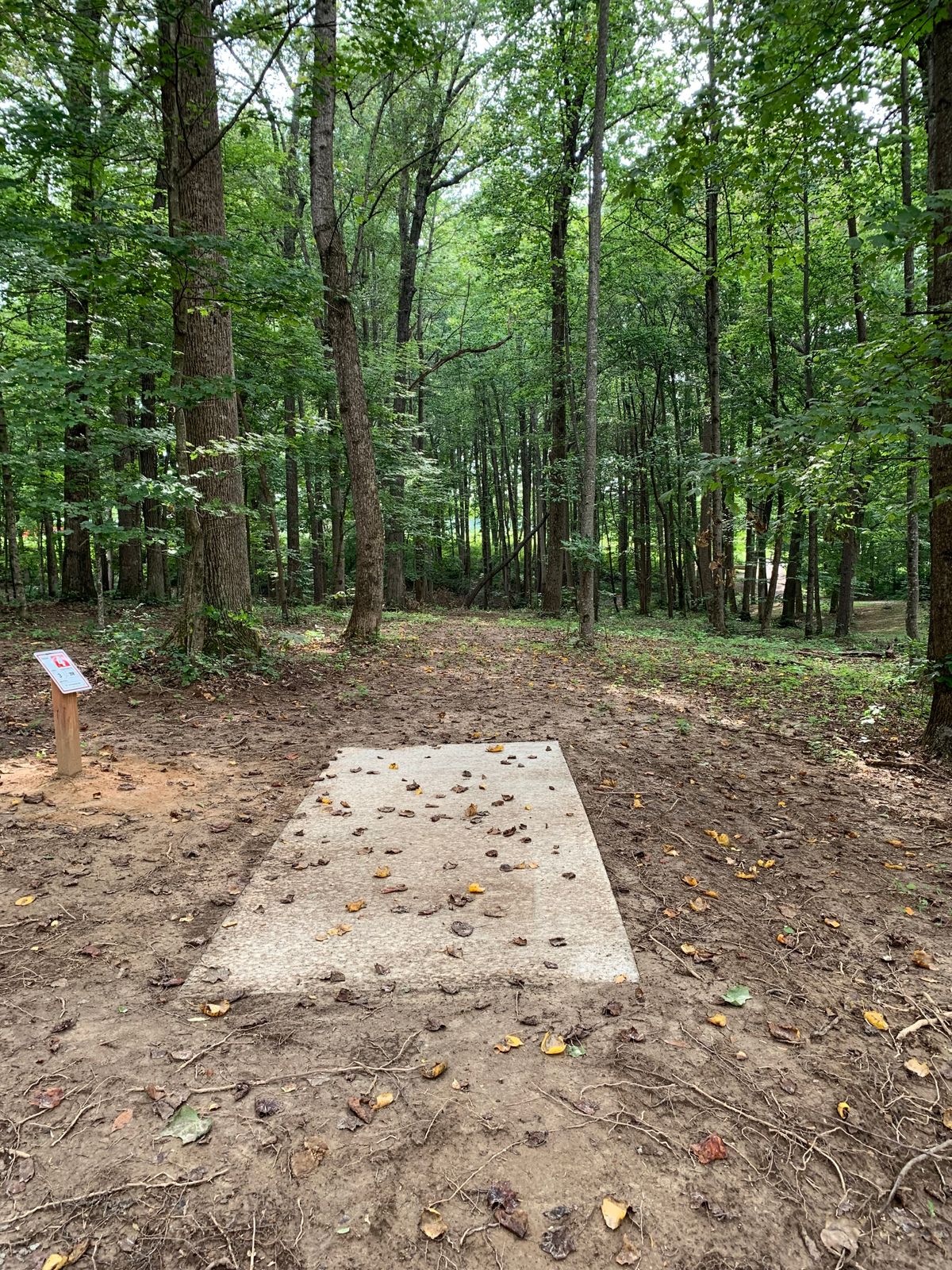 Hole 4 tee.