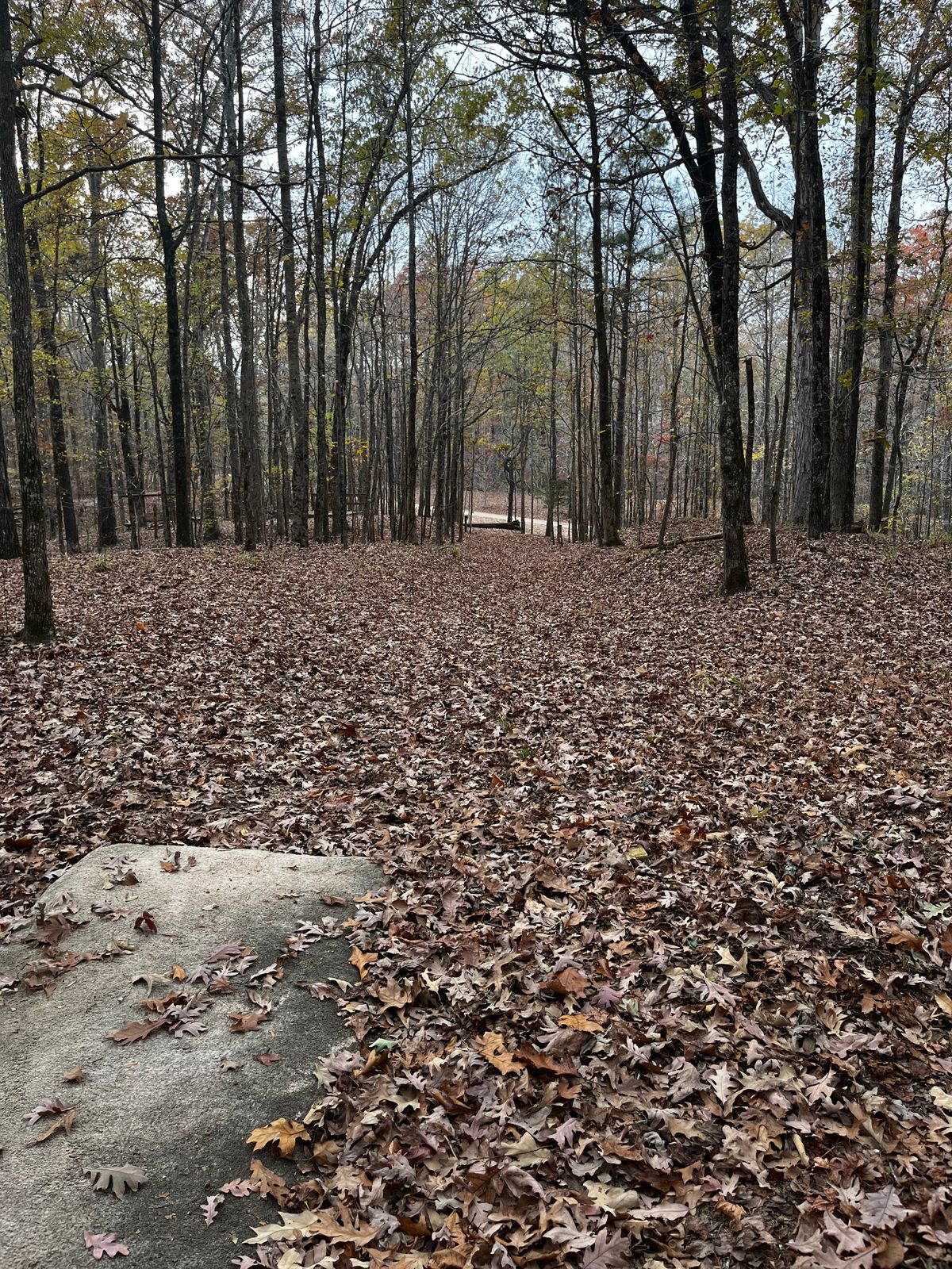 Hole 2