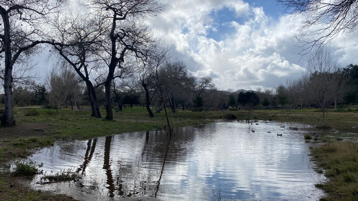 Hole 5