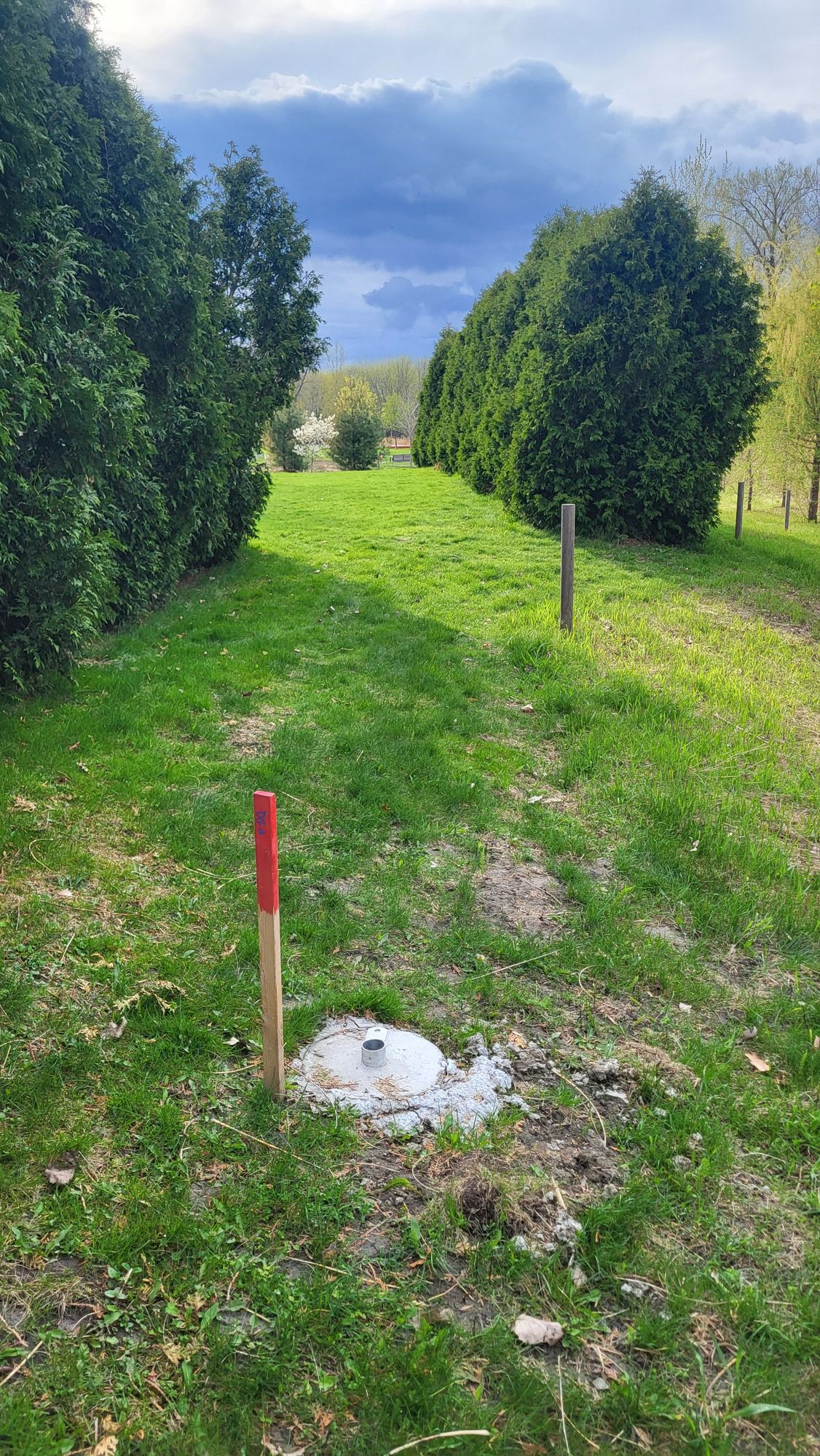 #9 panier entre les haies . Présentement manquant !