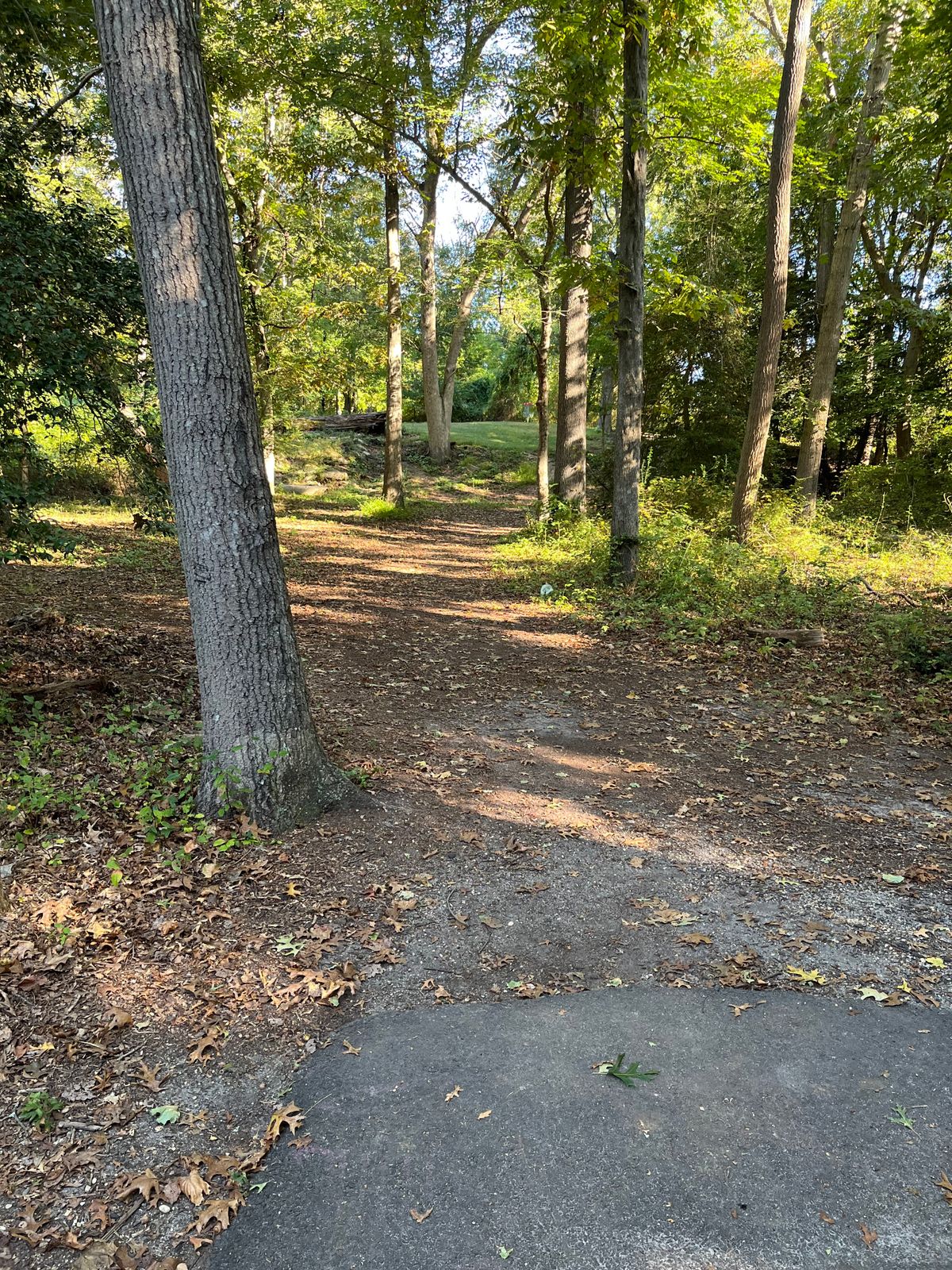 Hole 16 tee