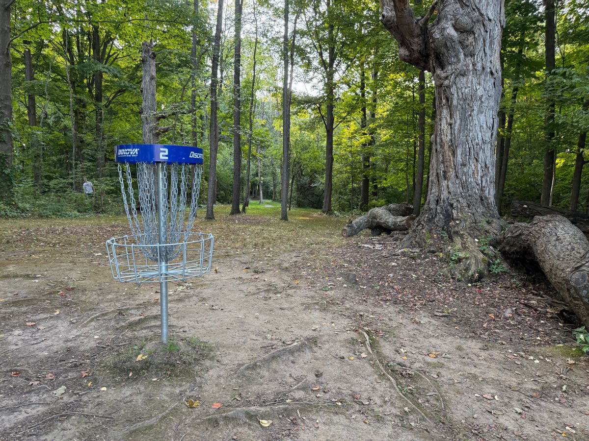 Hole 2 Basket to Tee
