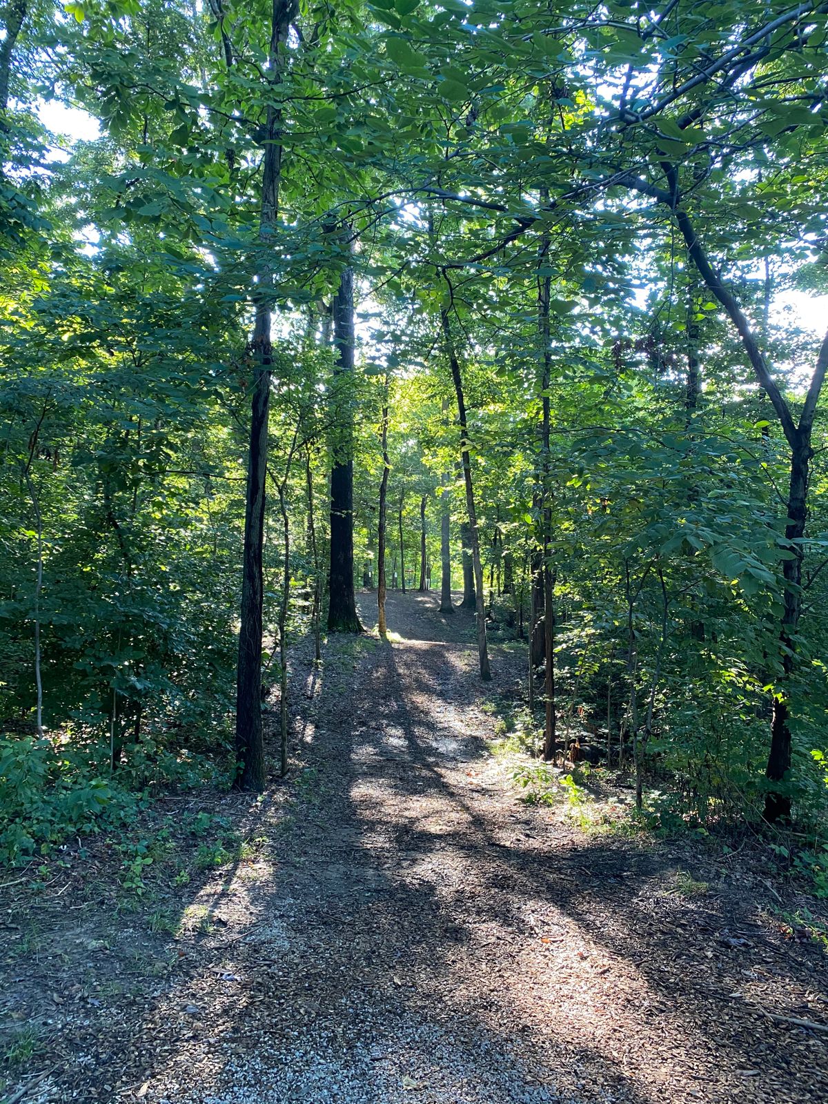 Hole 6