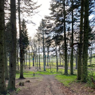Down to Hole 4 (April 2021)