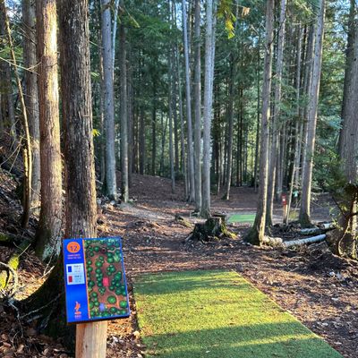 Hole 12 with a couple line options from the Blue