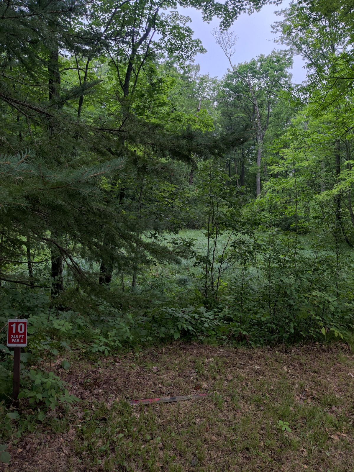Tee 10
