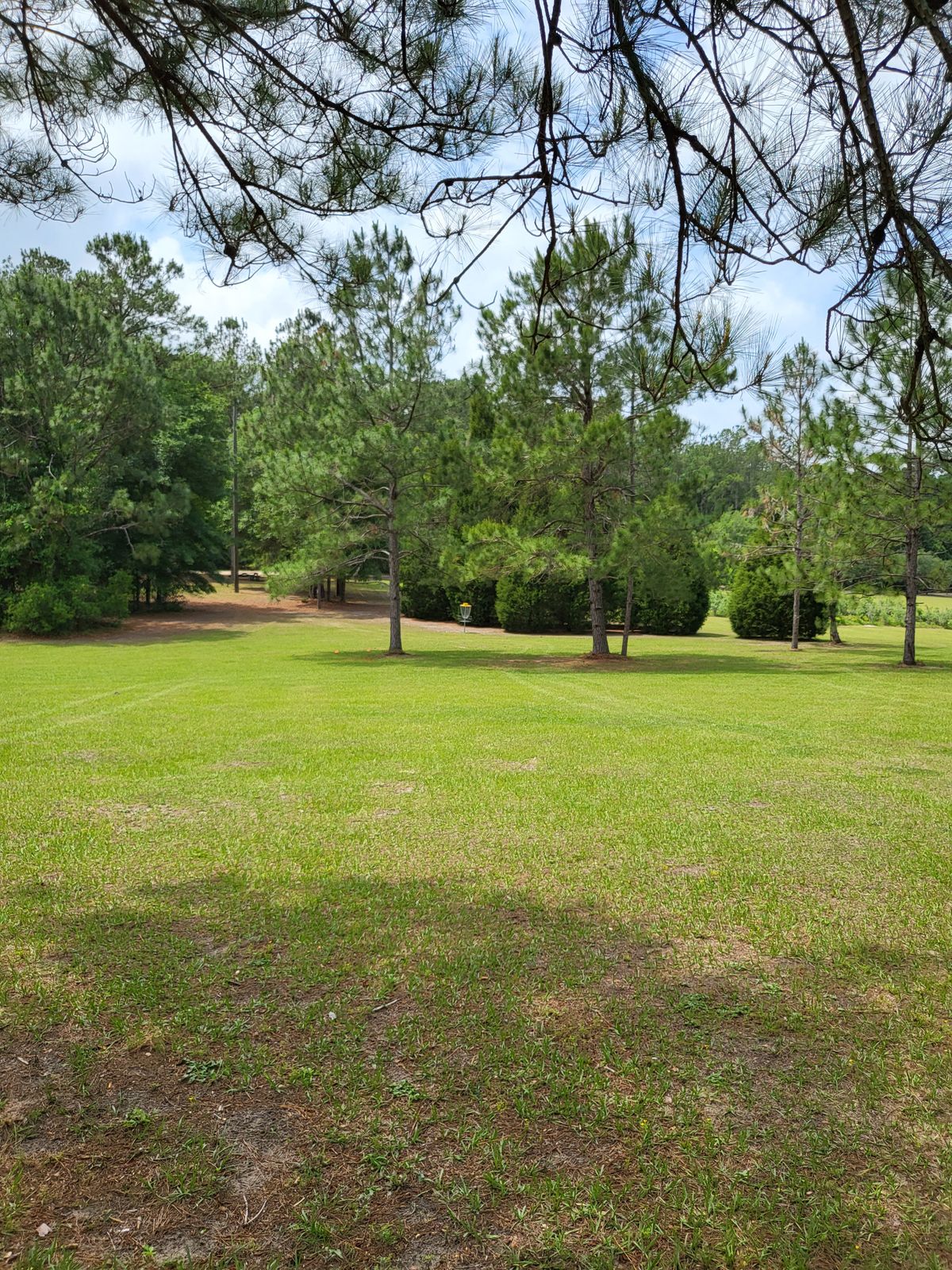 Hole 3