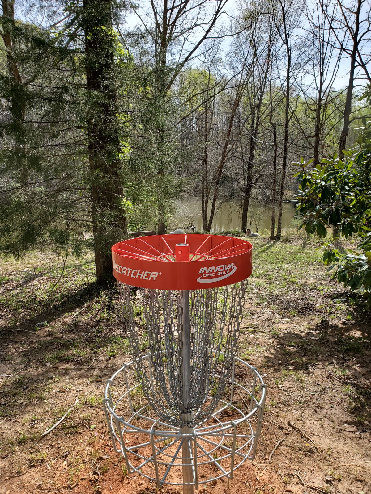 Nice baskets