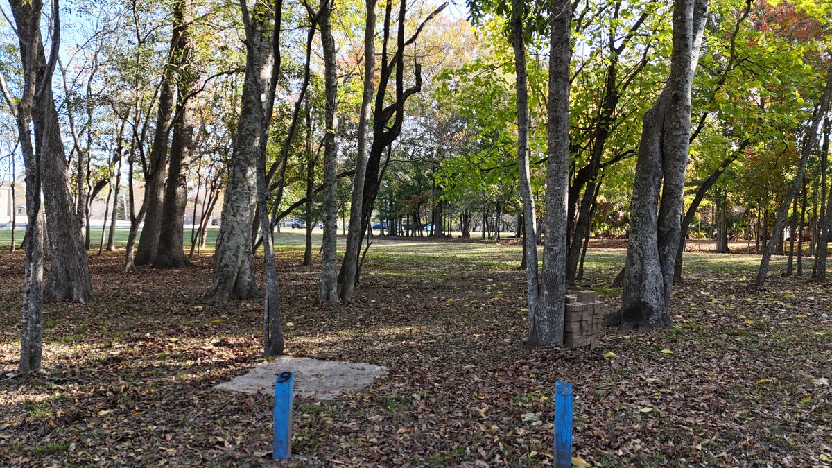 Tee 9, Blue Basket