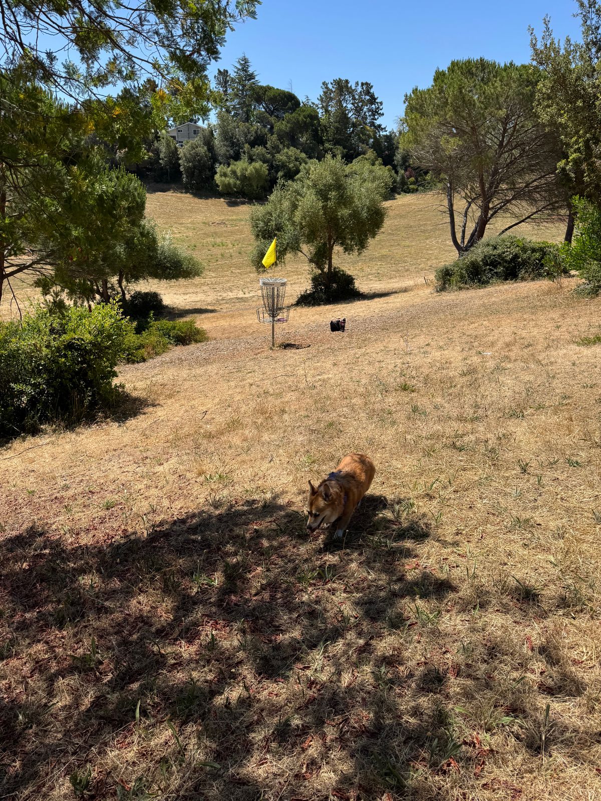 Finding shade