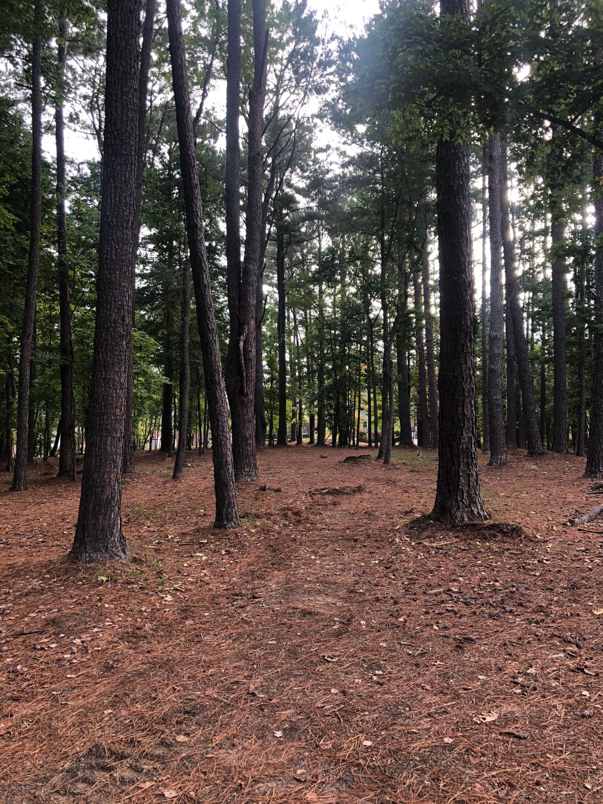 Hole 1