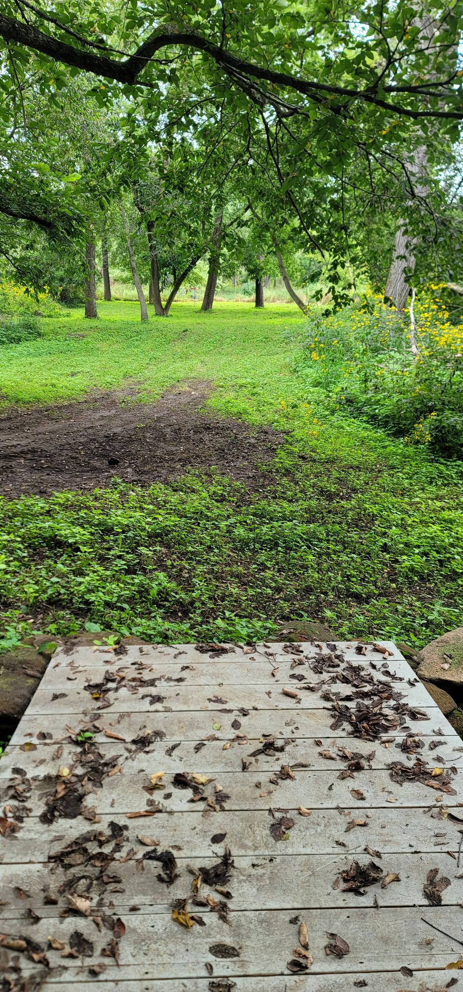 Hole 12