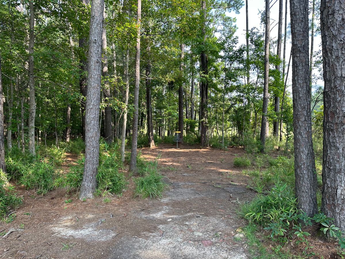 Hole 7 Approach