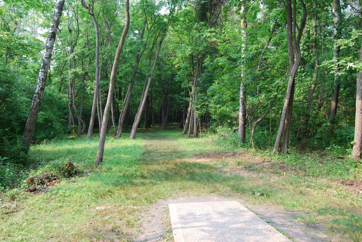 Hole 11 Long tee position