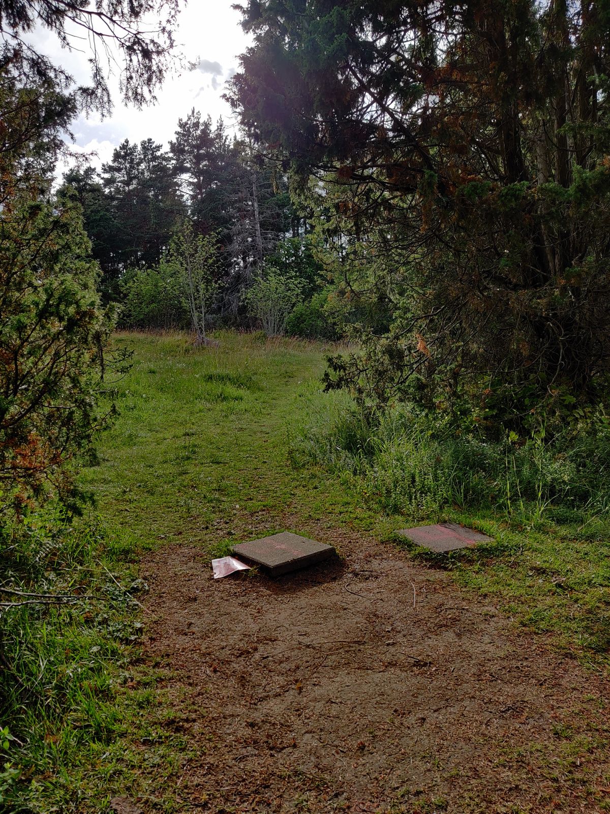 Hole 4