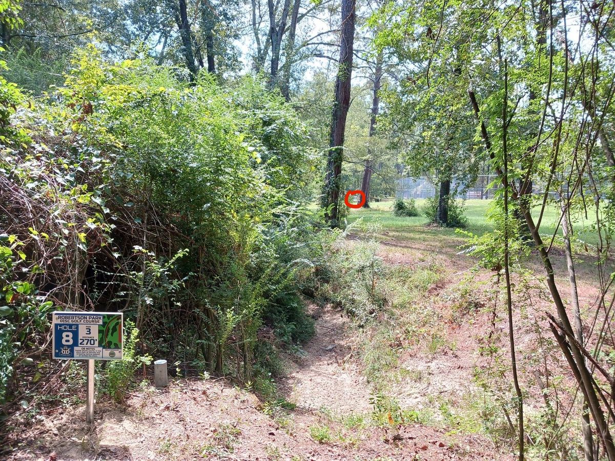 Hole 8 basket