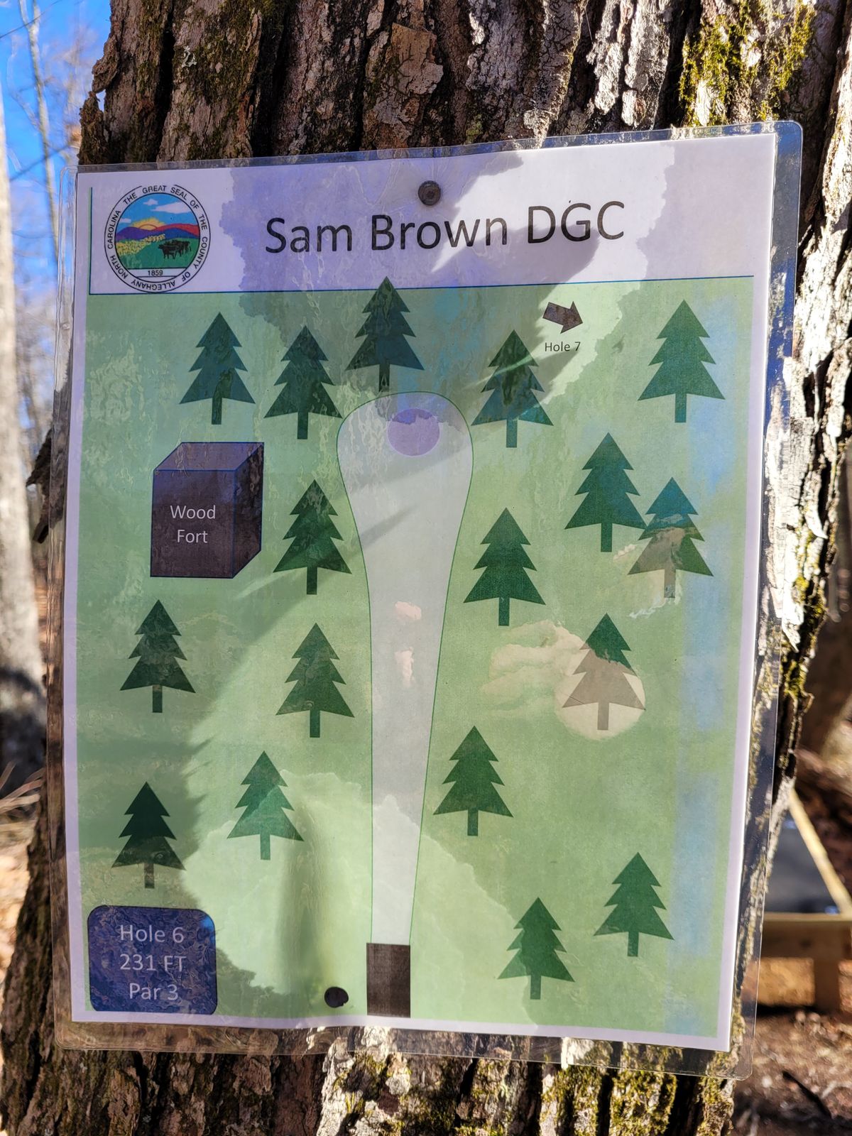 Hole #6 map