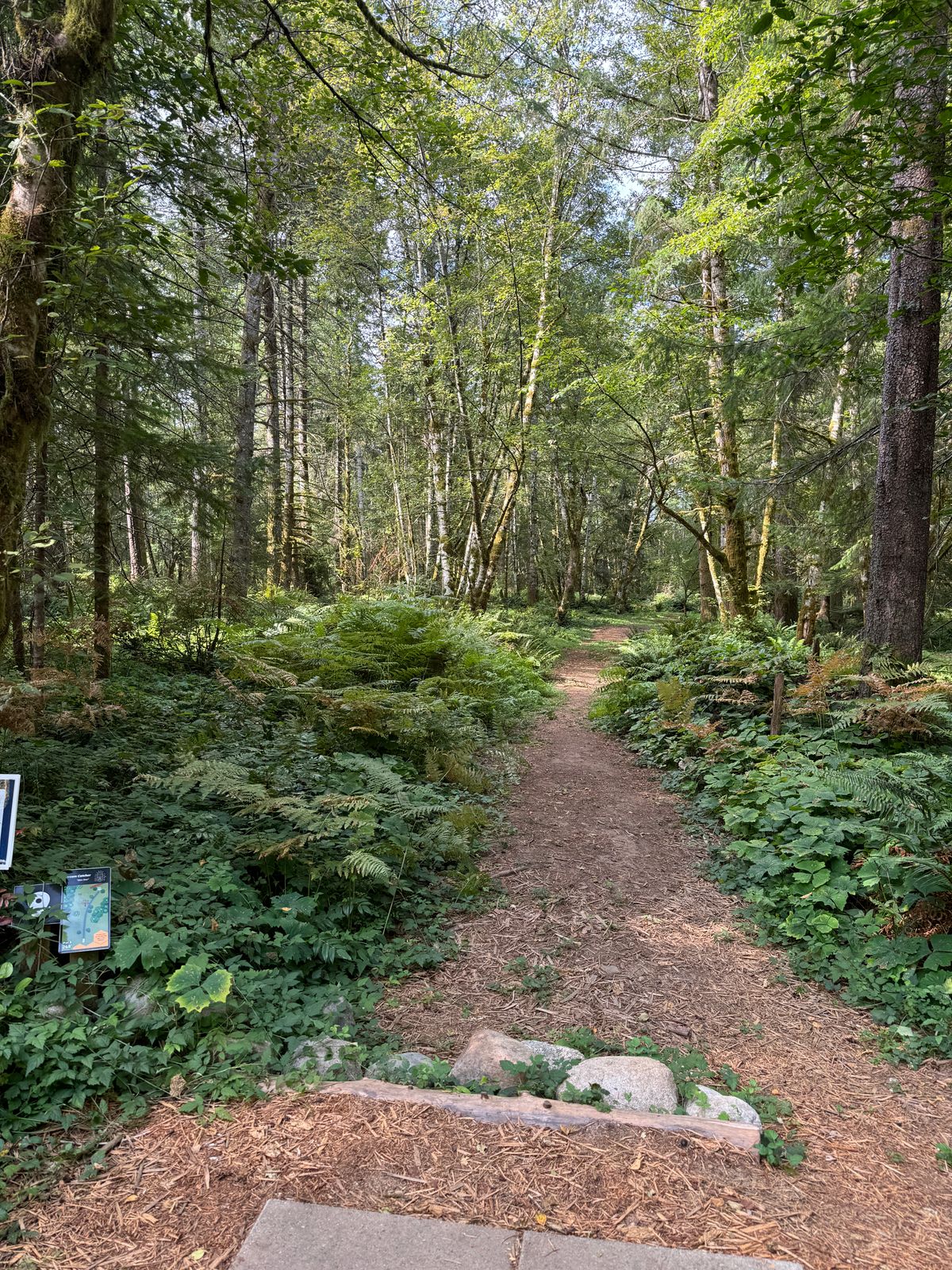 Hole 9