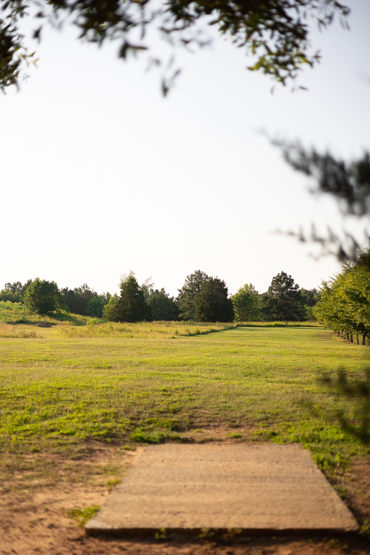 Hole 11 Short