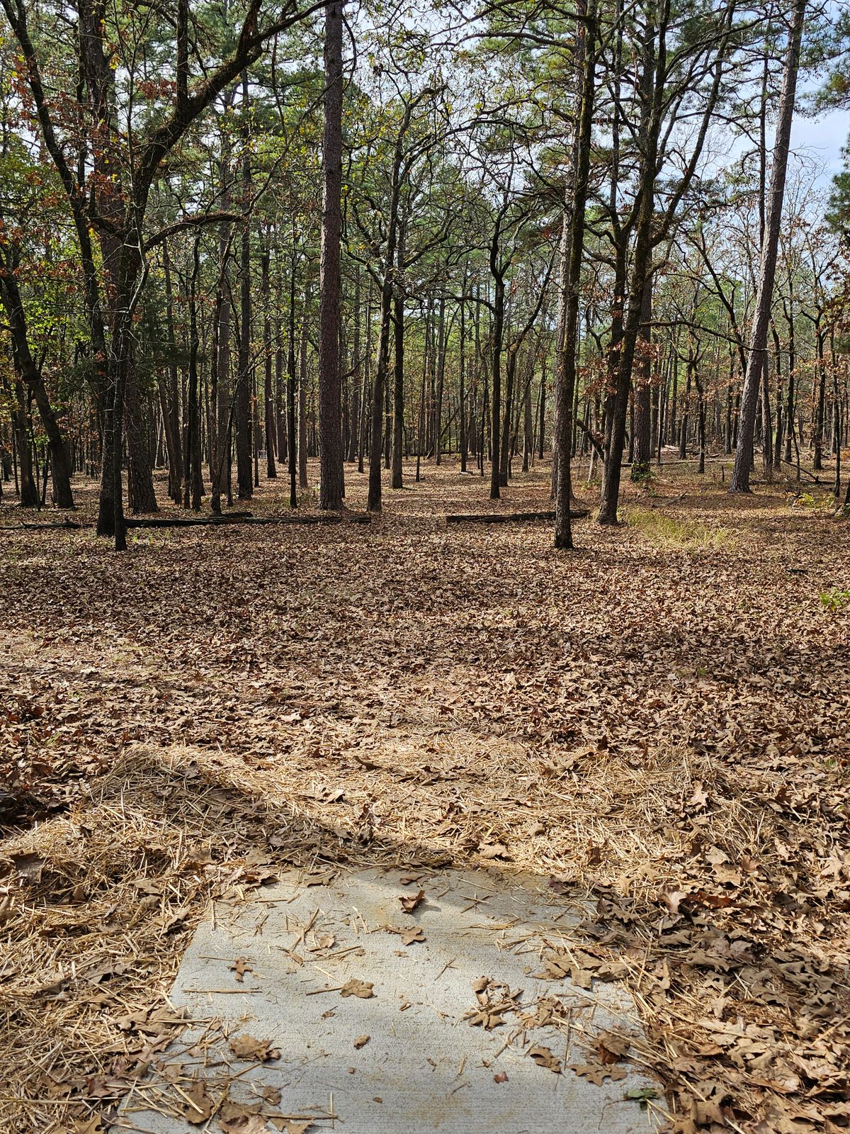 Hole 6