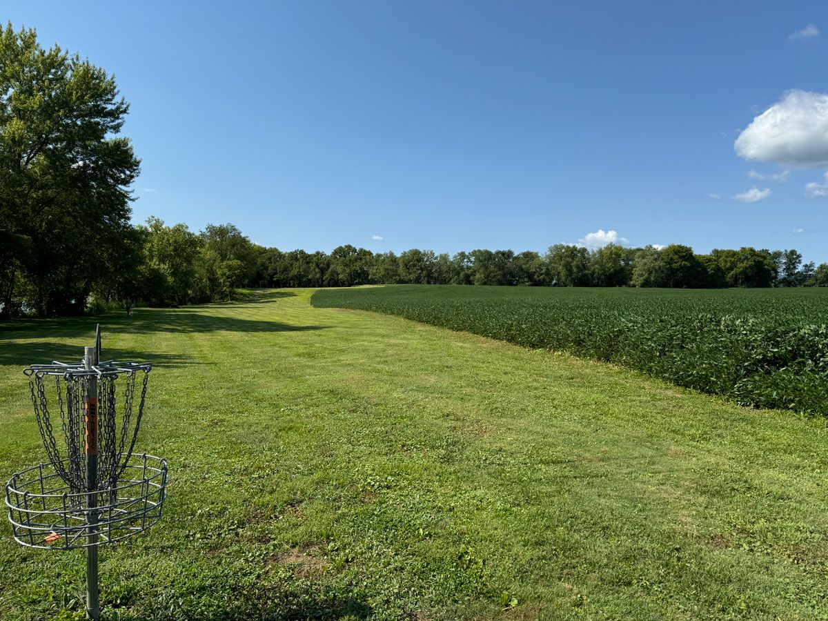 Hole 9 Basket to Tes