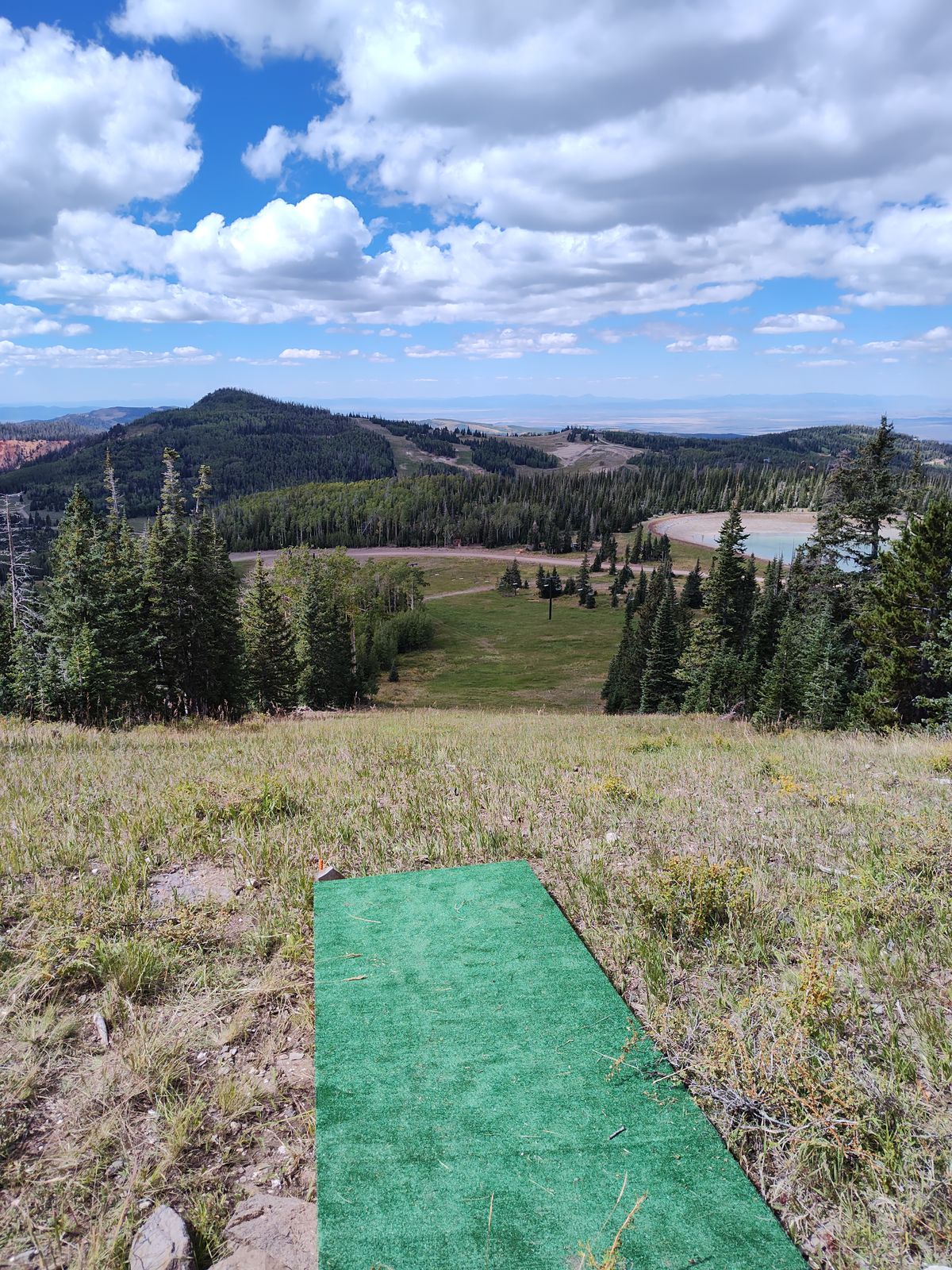Tee of hole 8