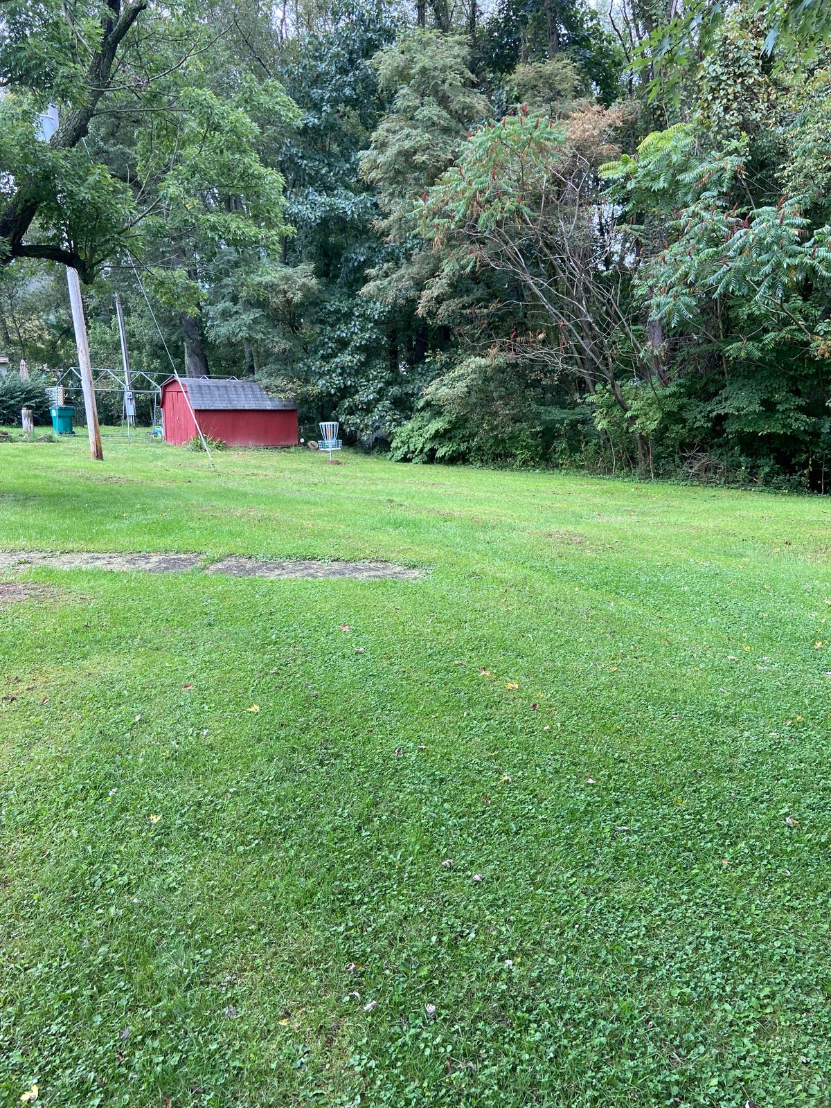 7b