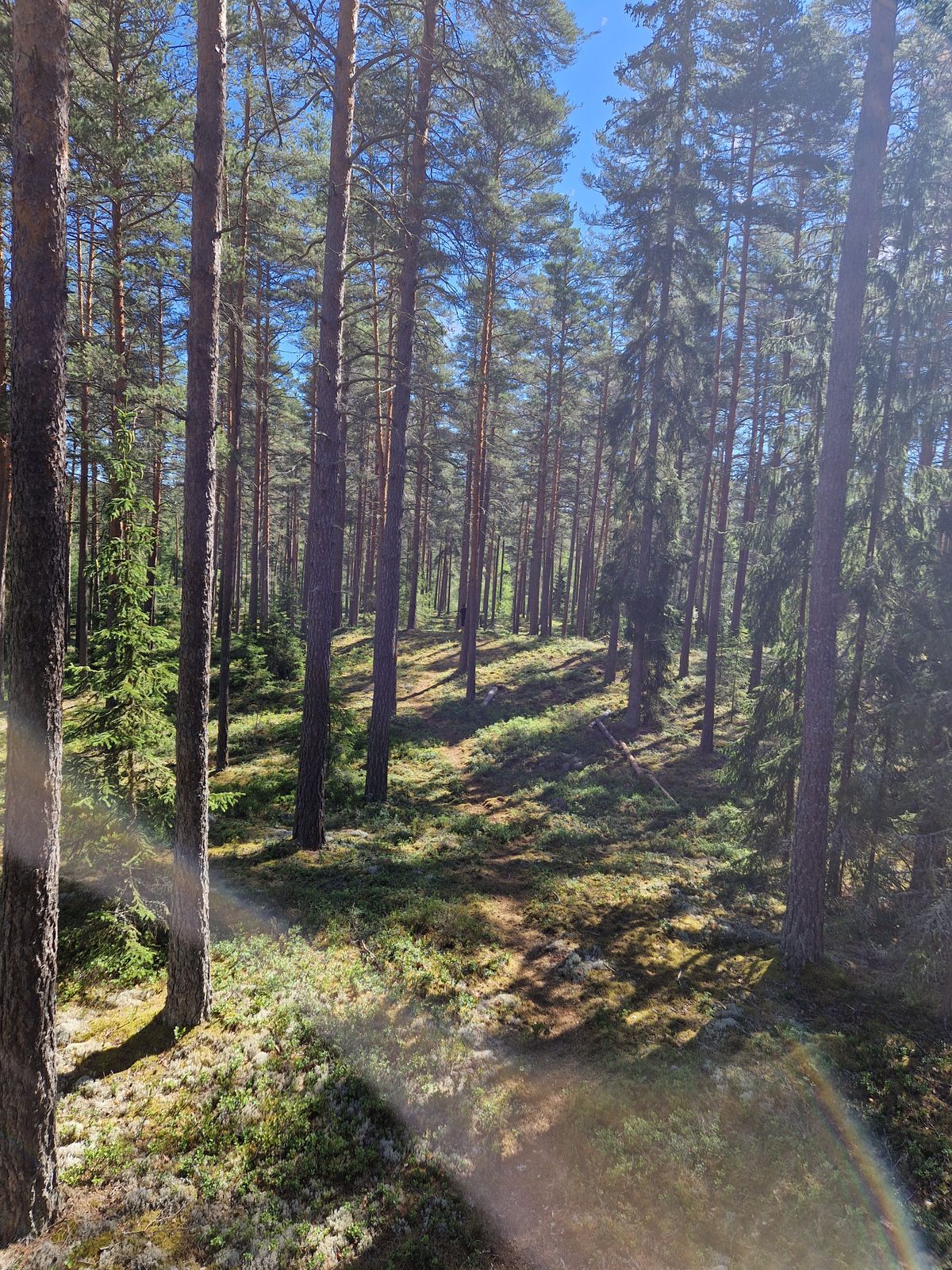 Hål 8