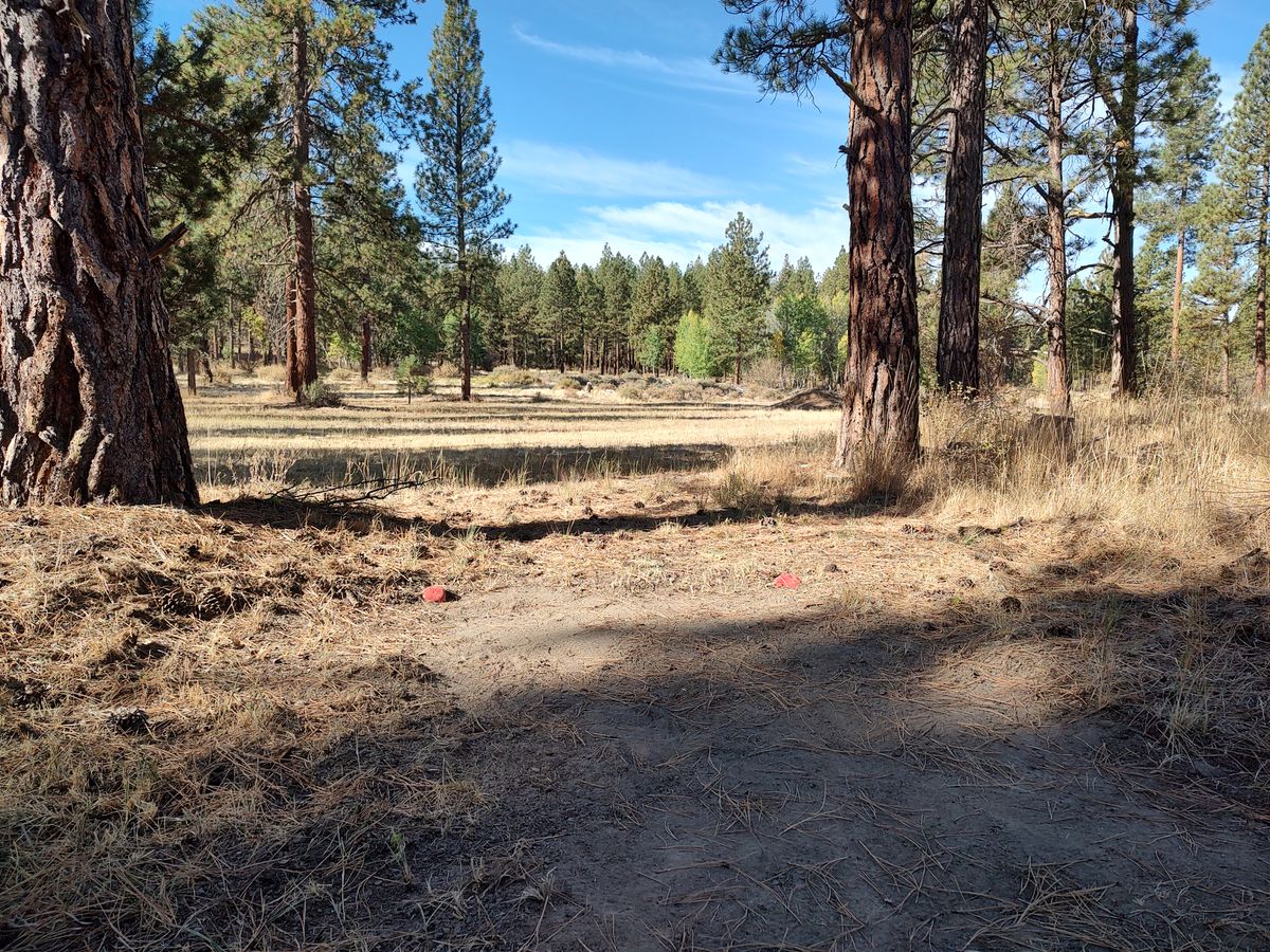 Hole 3 Tee