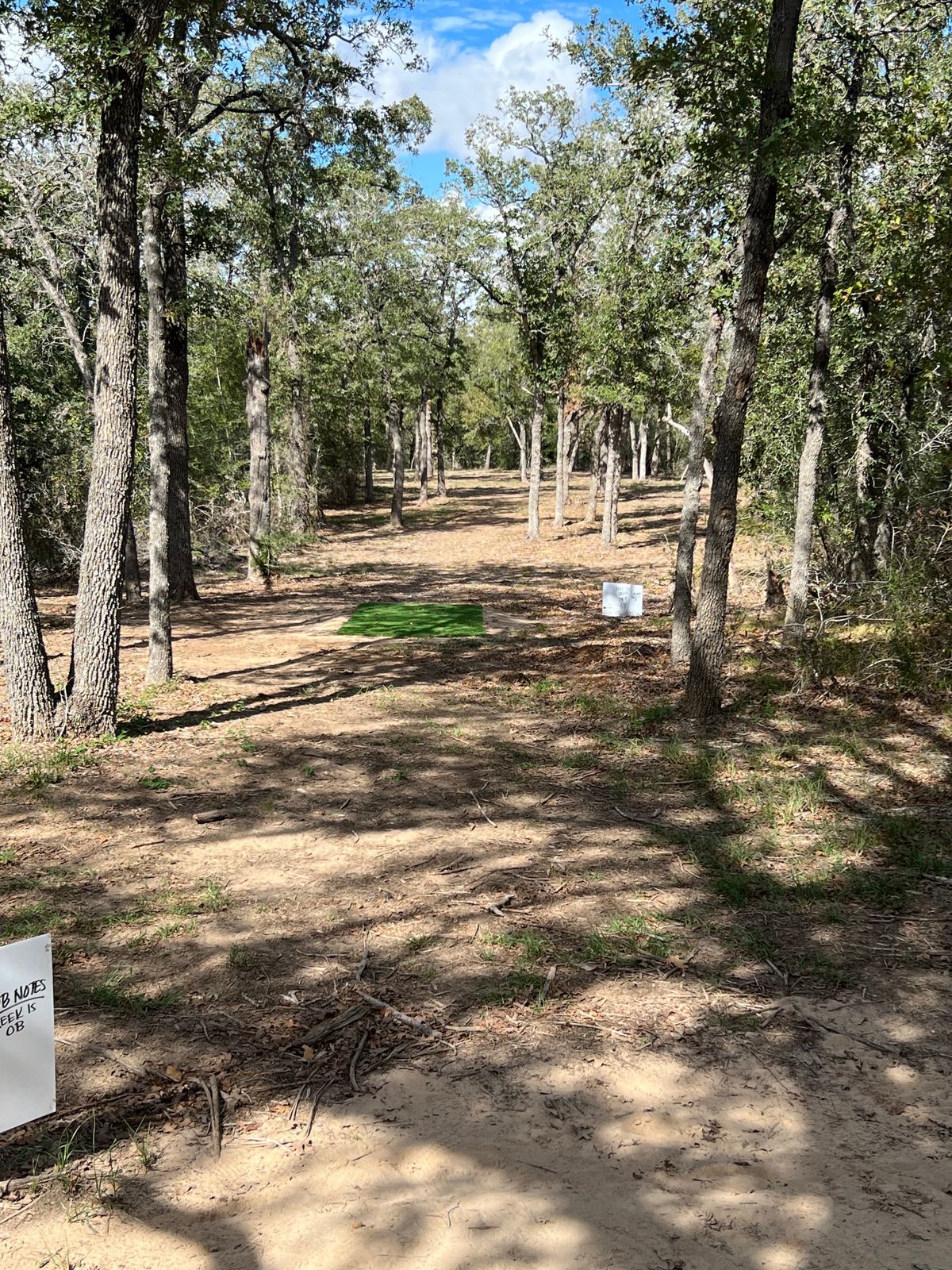 15 from the Tee
