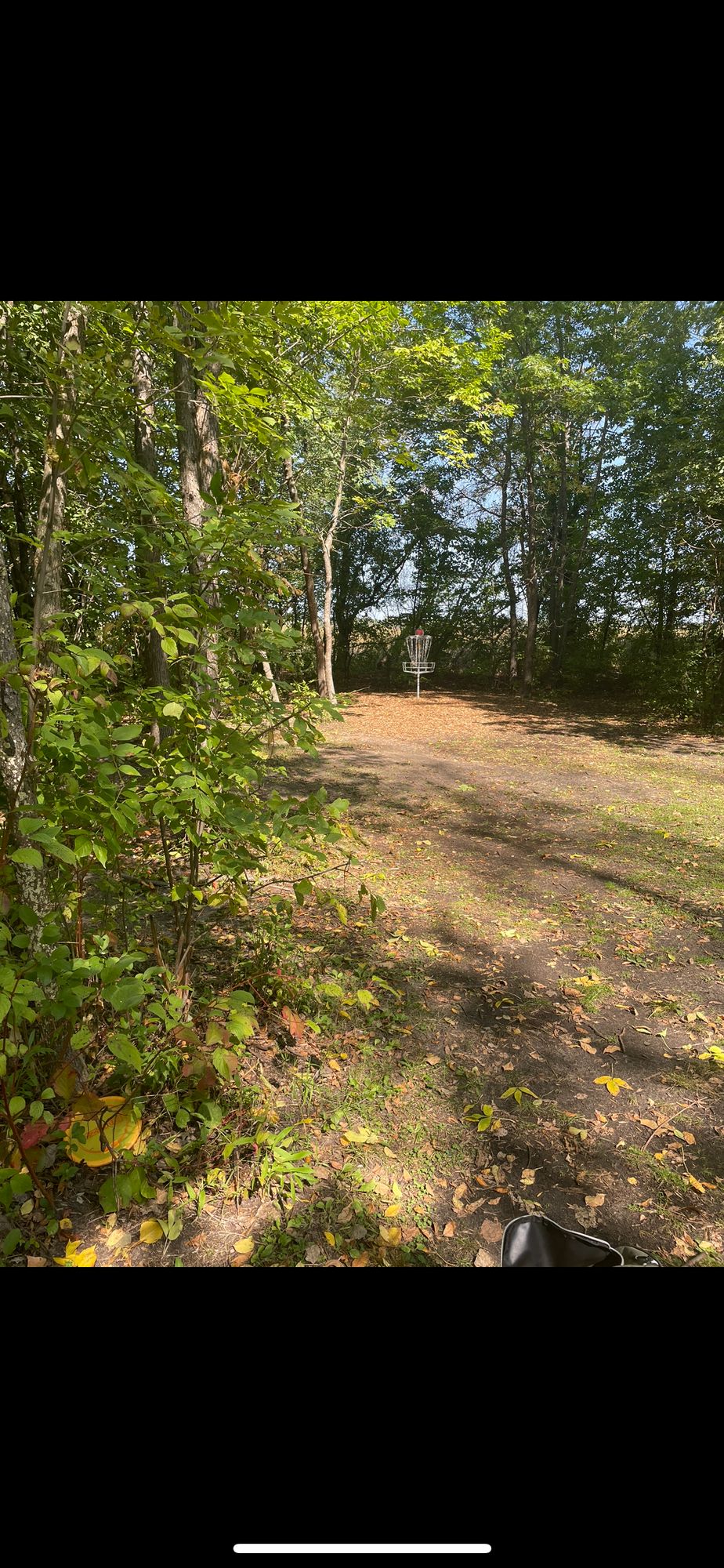 Hole 13 basket