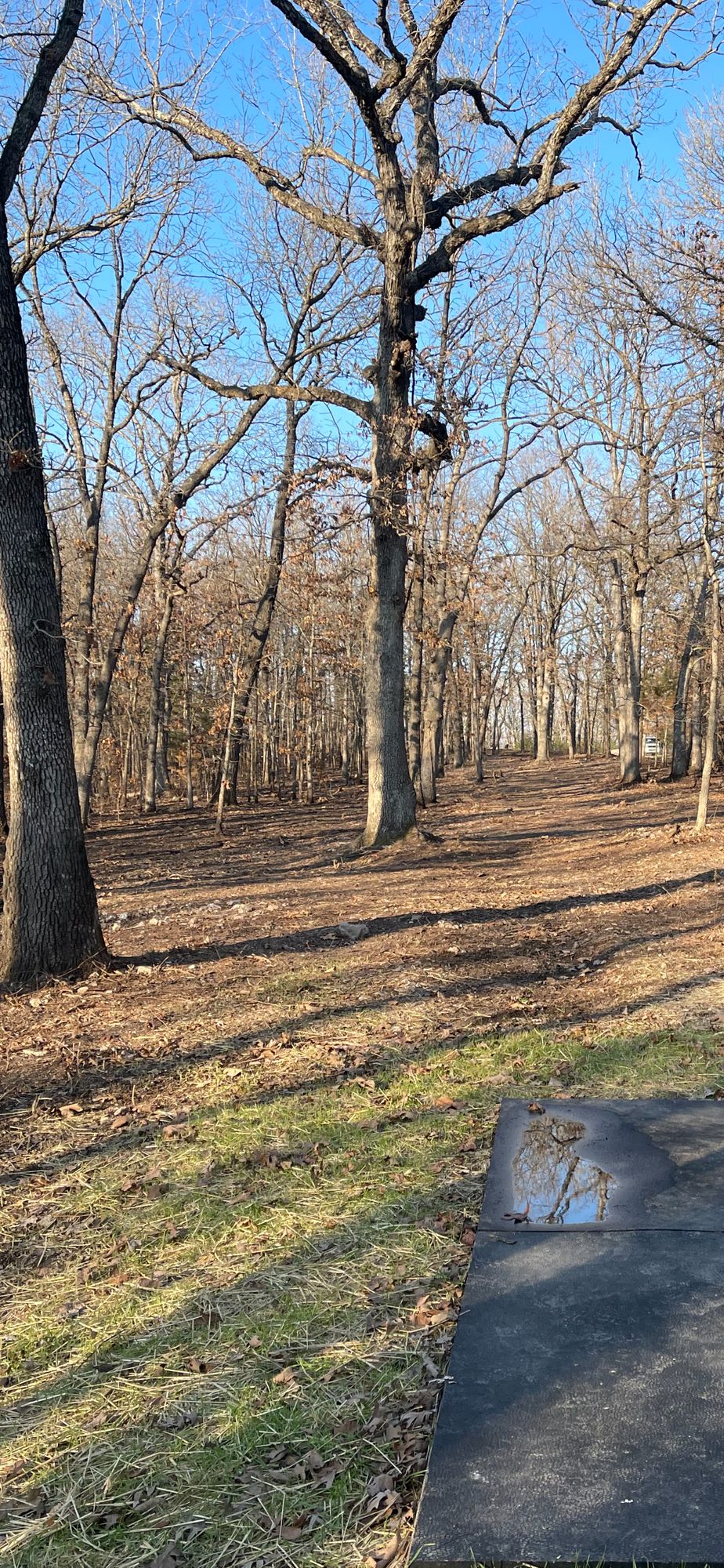 Hole 9 par 4 narrow and wooded needs good shape shot for 3