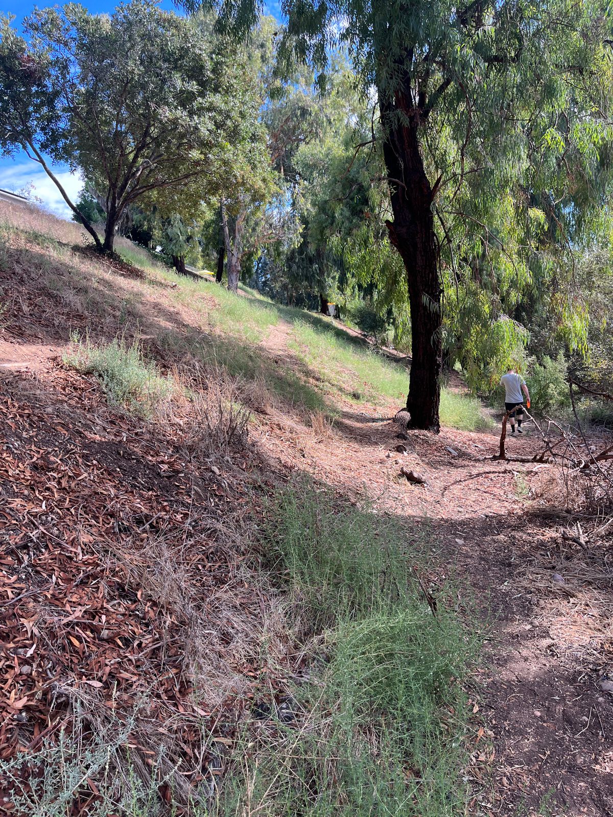 Tee pad #8