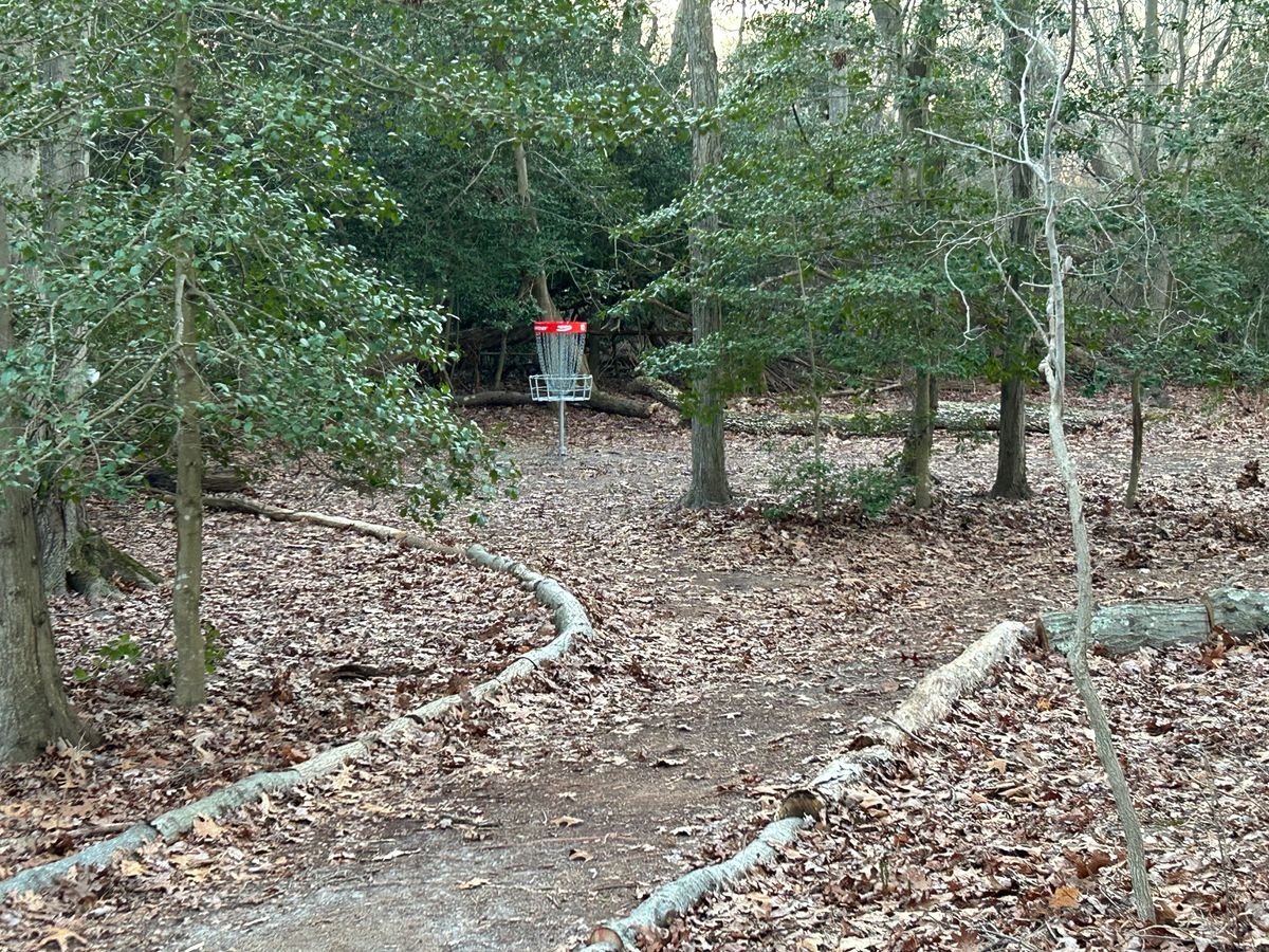 Pathway from 10 to 11
