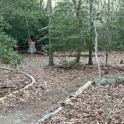 Pathway from 10 to 11
