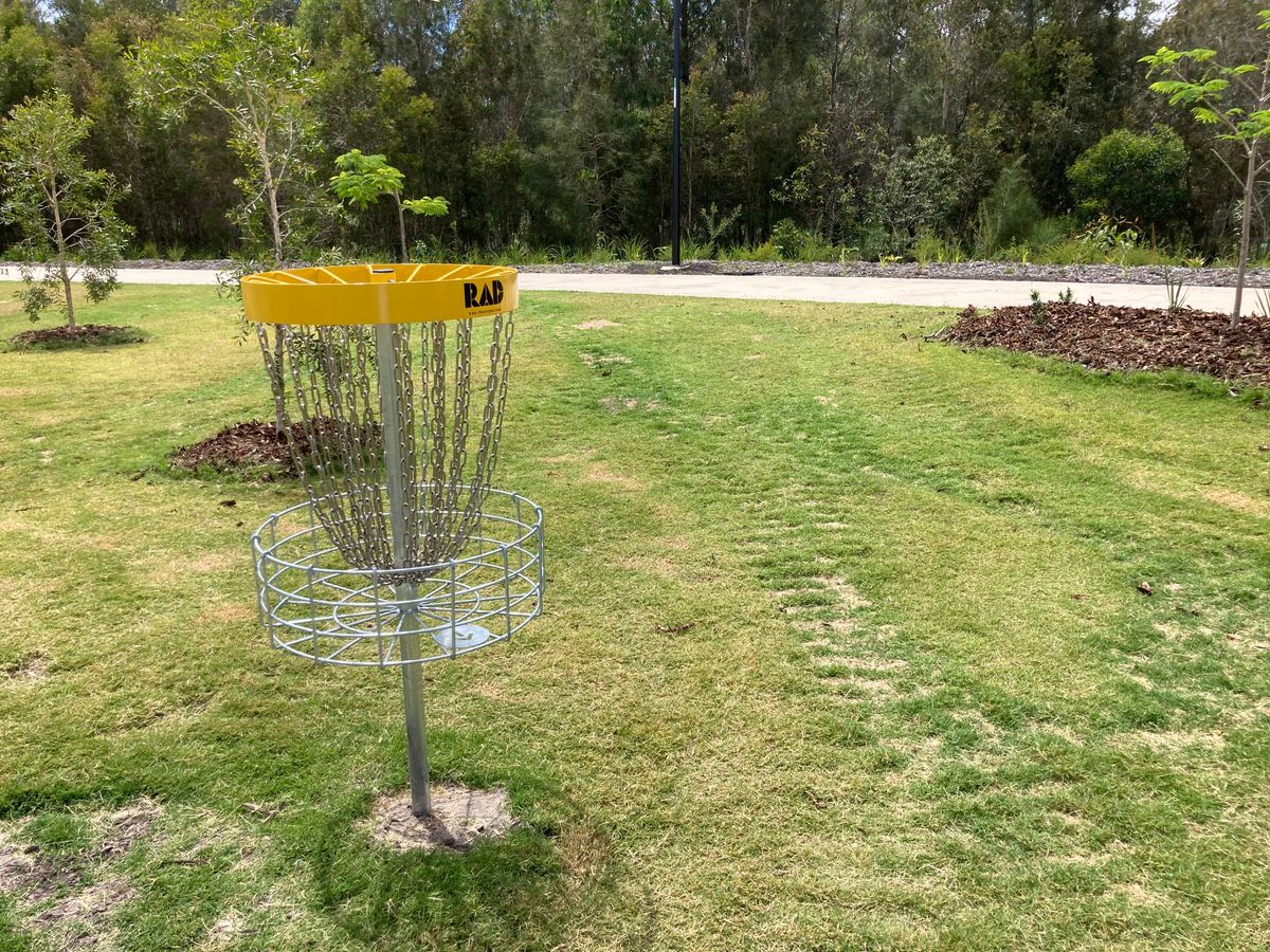 Hole 4 basket