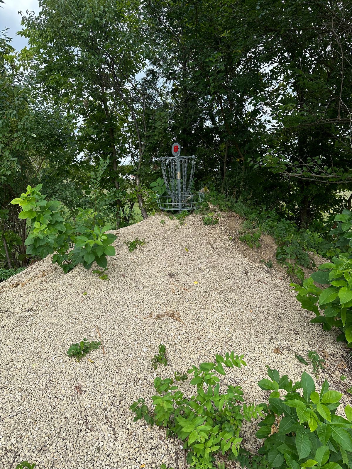 hole # 8 basket