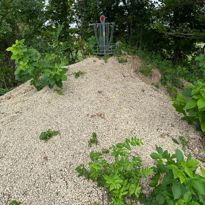 hole # 8 basket