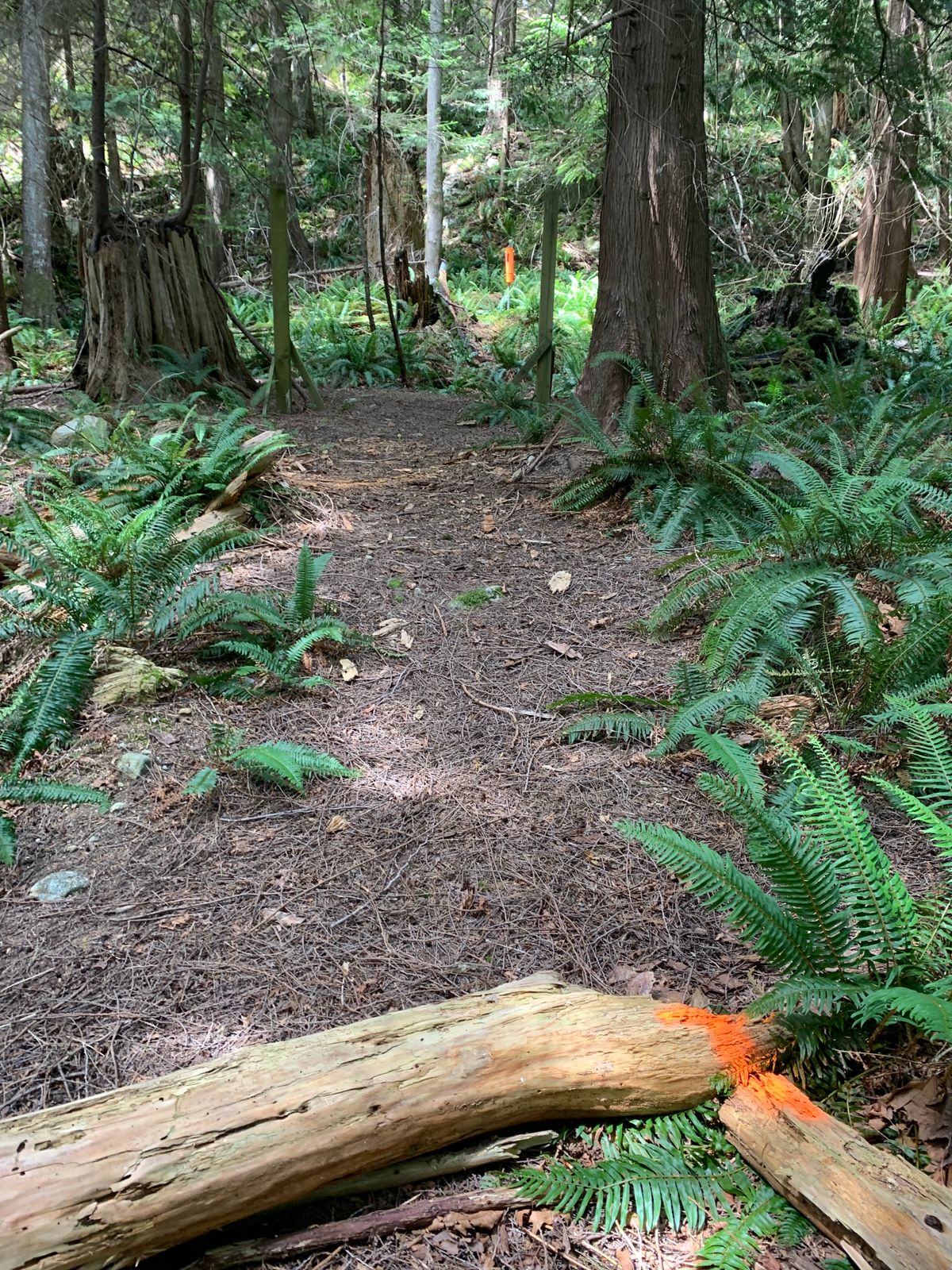 Hole 1 front