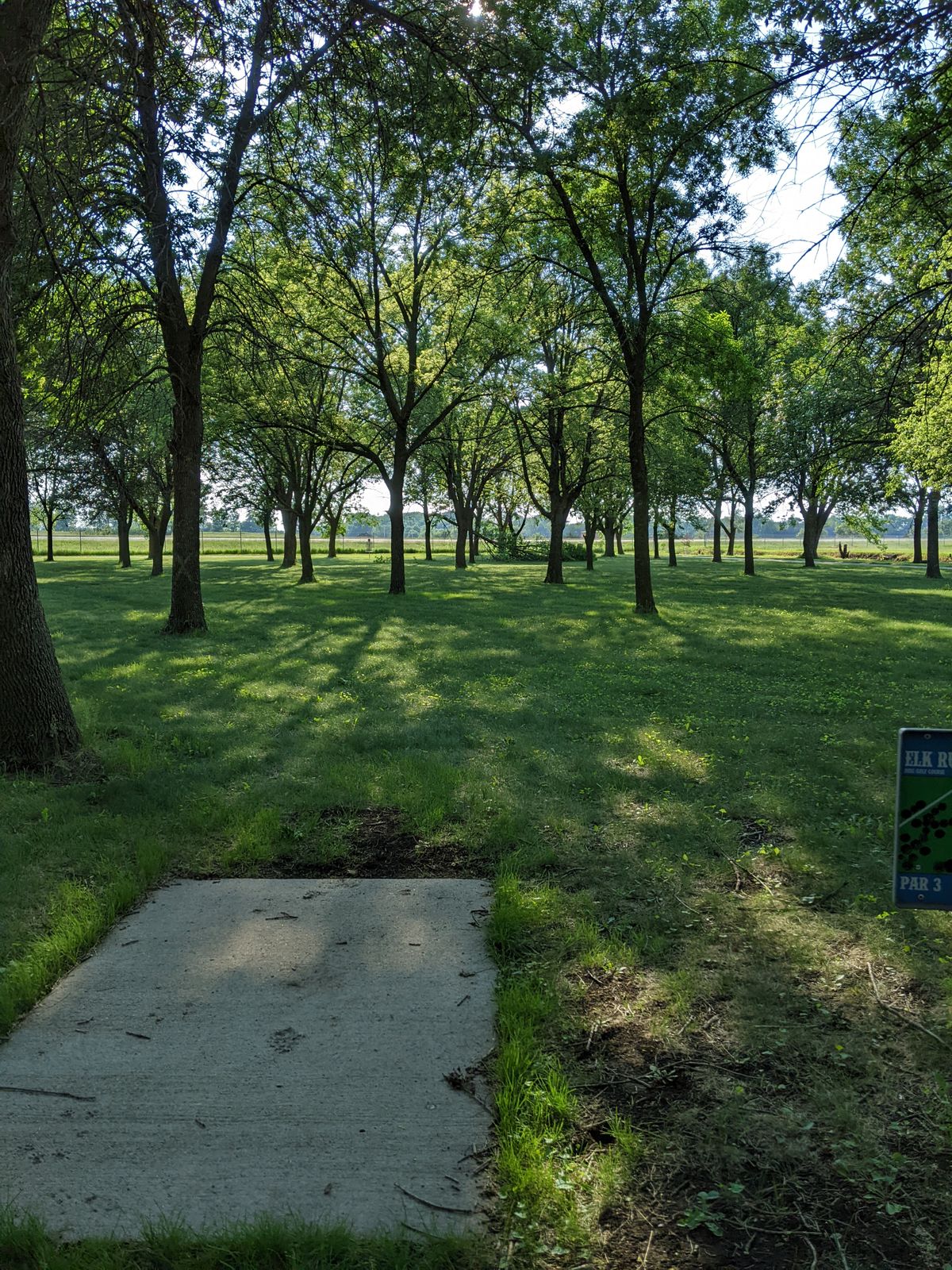 Hole 12 teepad