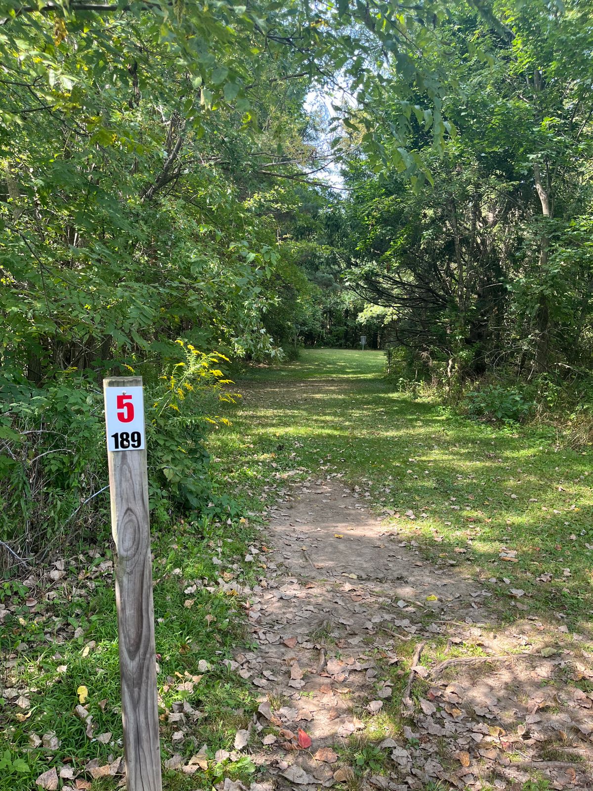 Hole 5 from tee